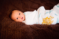 Ezra Newborn 12/2013